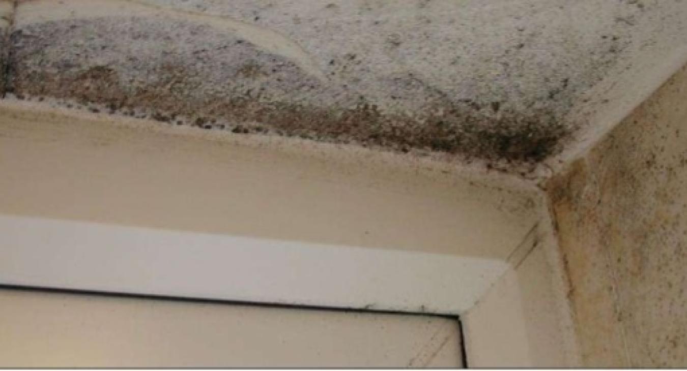 Bathroom ventilation specialists